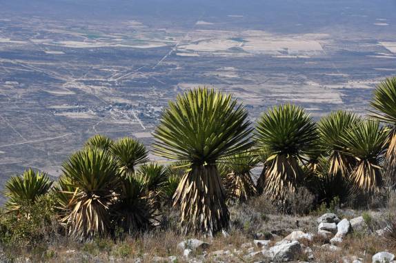 A magnífica vista do alto de 'El Quemado', a montanha sagrada da região de Real de Catorce, pueblo mágico no norte do México